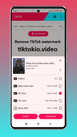 Remove-TikTok-watermark