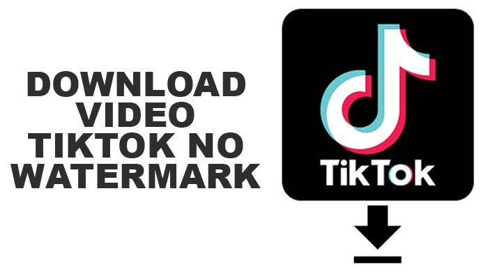 TikTok Video Download High Quality MP4